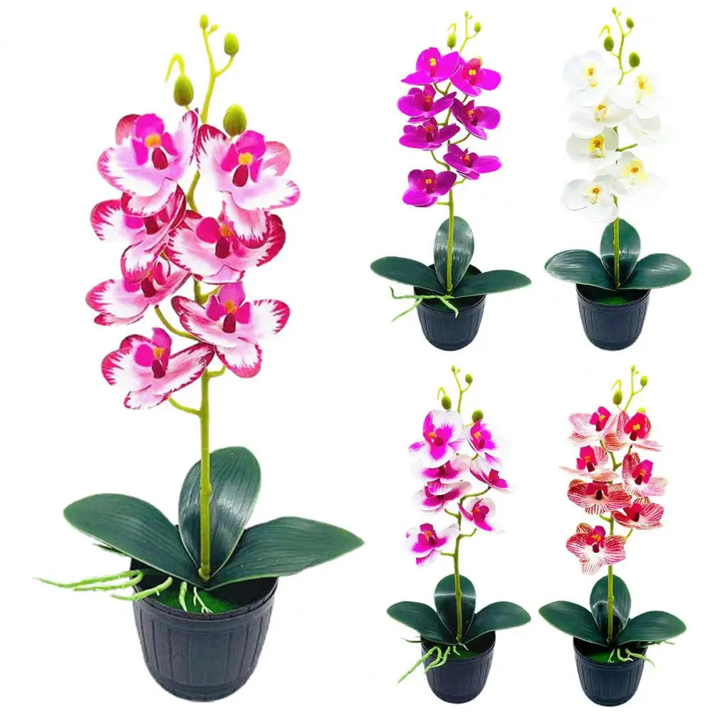 Delikatny kwiatowy urok – ponadczasowa dekoracja wnętrz – kwitnące piękno przez cały rok